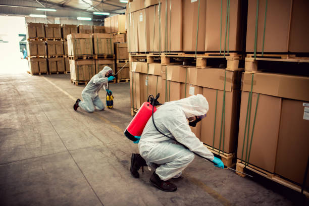Best Pest Removal Services  in Brewster Hill, NY