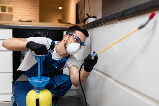 Best Wasp Removal Services  in Brewster Hill, NY