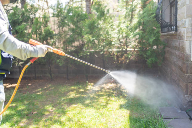 Spider Control Near Me in Brewster Hill, NY