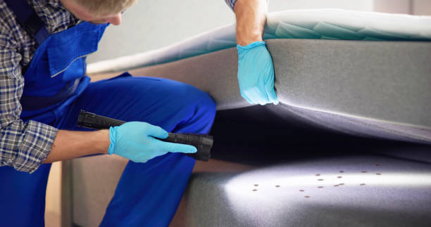Best Rat Extermination Near Me  in Brewster Hill, NY